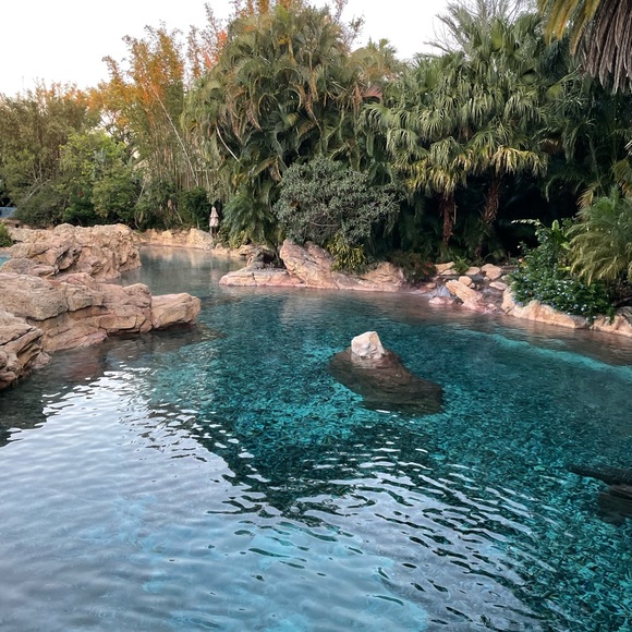 Meet your Posher, Natalie - Picture 1 of 1